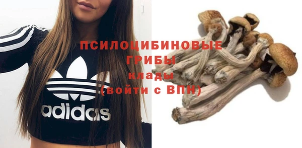таблы Армянск