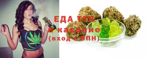 индика Арсеньев