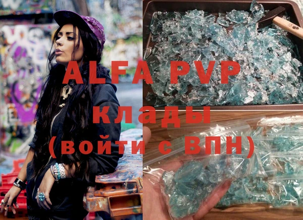 индика Арсеньев