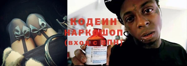 индика Арсеньев