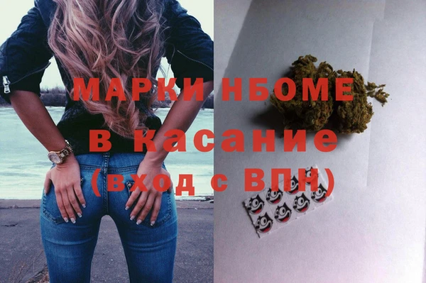 стаф Алексин