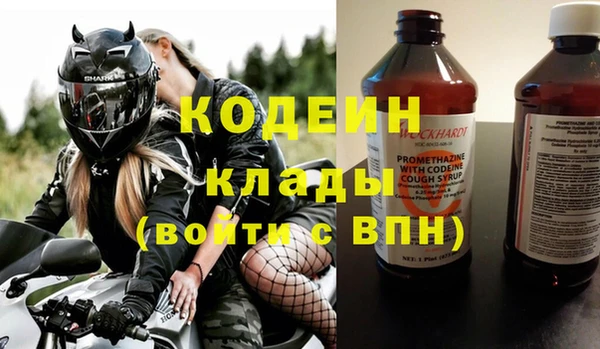 индика Арсеньев