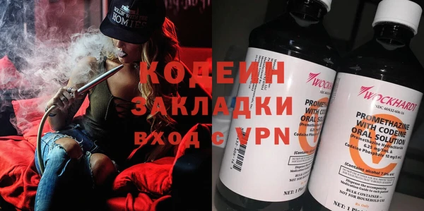индика Арсеньев