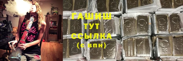 стаф Алексин