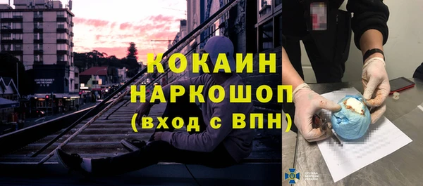 стаф Алексин