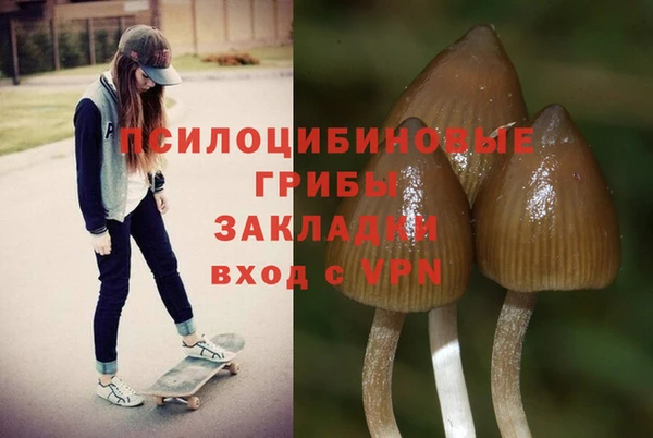 метамфетамин Аркадак