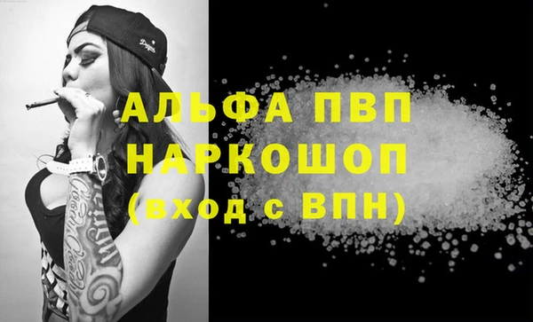 индика Арсеньев