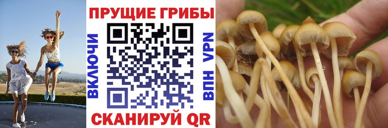 Псилоцибиновые грибы мухоморы Таруса