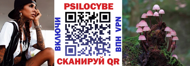 OMG Таруса Псилоцибиновые грибы GOLDEN TEACHER